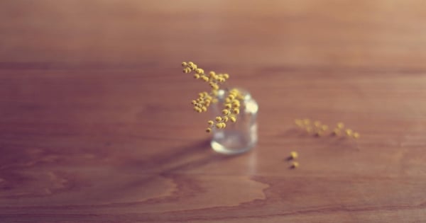水瓶是個好強的星座，儘管被遺棄，也能勇敢邁向未來的路