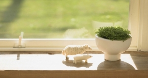 完整分析巨蟹座的桃花都是怎麼不見的！原來都是你自己嚇跑的！