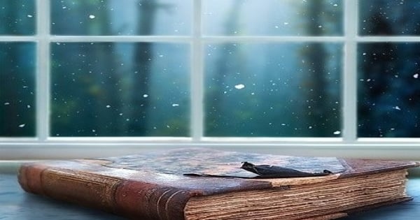 解密獅子座在人生中最看重的就是這個！你也被說中了!