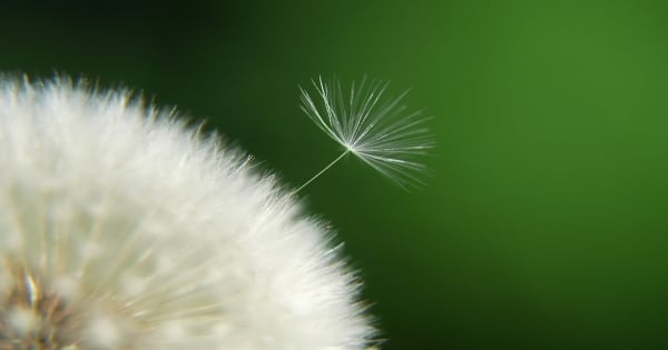射手快把這招學起來！讓你的愛情永保熱戀期！