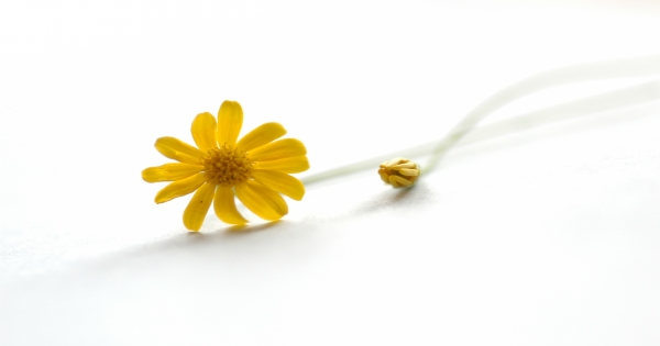 經常需要另一半哄的星座情人TOP5大公開！