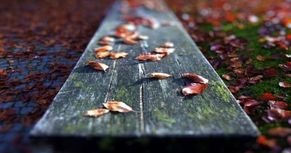 雙魚的人不是太會算計，雙魚只是傻得太真實