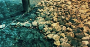 揭密天秤座會為了什麼而付出一切!你也被說中了吧！