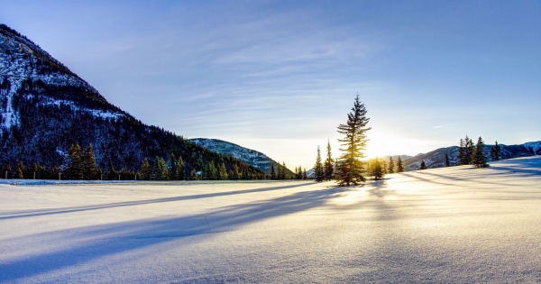 雙魚會放棄自己去成全別人，沒有條件的付出、對所有人好，善良到讓人覺得心疼
