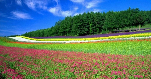 和魔羯戀愛鮮少會出現驚喜，但他一定會身體力行