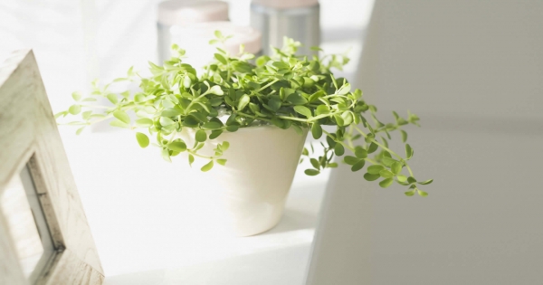 射手對愛情是又愛又怕的，因為射手會很害怕失去愛情，甚至認為不曾擁有或許才不會失去吧