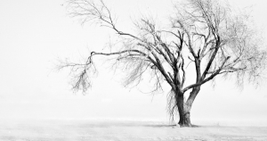 魚兒單純善良,不善拒絕他人,總是不小心就掉進了愛情,卻在傷痕累累後爬不起來