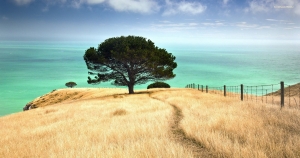 水瓶座的睡姿是怎樣呢