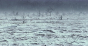 一秒十八變是對雙子最精闢的形容詞，如果你跟不上我的速度，請別說想當我的朋友
