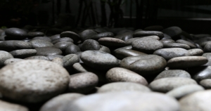 射手座的人很知道自己的優勢在哪，好勝心可以說特強