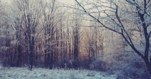 真假分不清!當雙子座發現情人有整形過會有什麼反應呢!你能想像!