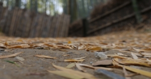 破解！金牛男的「求愛手段」大公開！沒想到你竟然是這樣把妹的！
