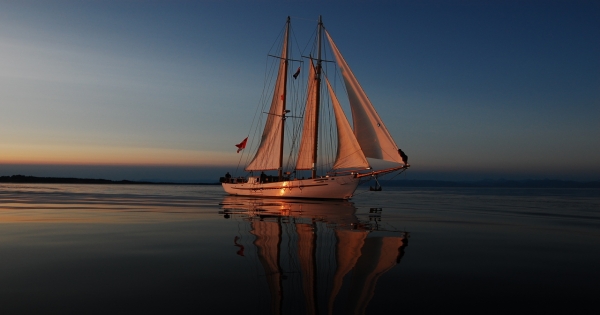 如果有一天你要離開雙子，雙子不會留你，雙子知道你有你的理由