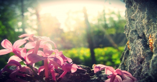 不靠臉和錢！雙子男的獨門加分秘技大公開！照著做也能變身人氣王！
