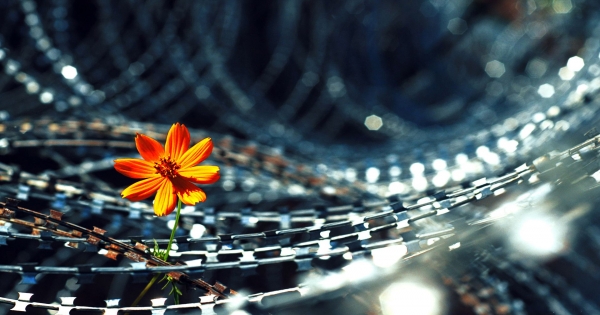 小動作看水瓶座是否對你動心！你有這個表現就表示你墜落愛河了對吧!