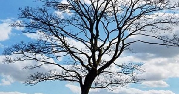 對愛的想像！對金牛座來說什麼才是真愛呢!你也是這樣認為的!