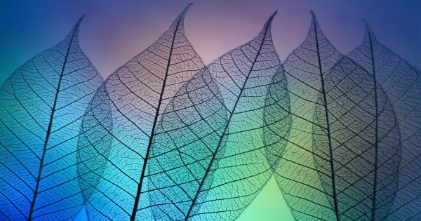 療傷！獅子座治療失戀最好的「良藥」是什麼呢!相信我，你很快就會好起來的！