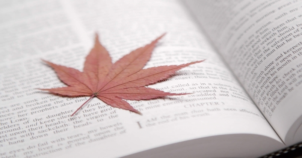 你以為他們很脆弱，沒想到他們卻這麼堅強，關鍵時刻還好有他們支持