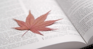 你以為他們很脆弱，沒想到他們卻這麼堅強，關鍵時刻還好有他們支持