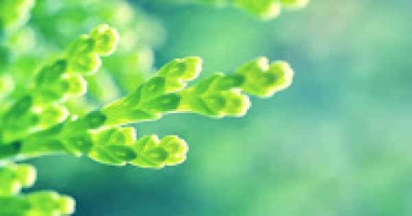 金牛女跟戀人吵架後要多久才能修復內心的傷疤!