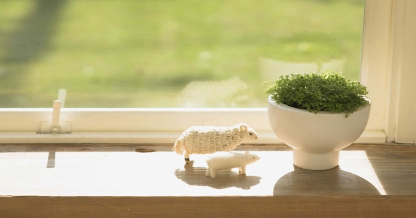 戀人太強勢，天秤座怎麼辦!除了硬碰硬，你還有更好的辦法！