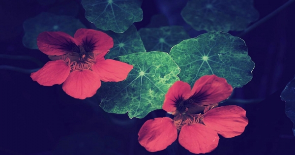 和水瓶座談戀愛是什麼感覺!是不是跟你想像中的不太一樣呢!