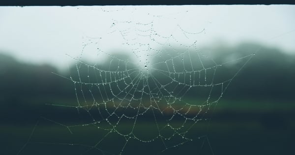 戀愛中，獅子男最渴望被理解什麼呢!