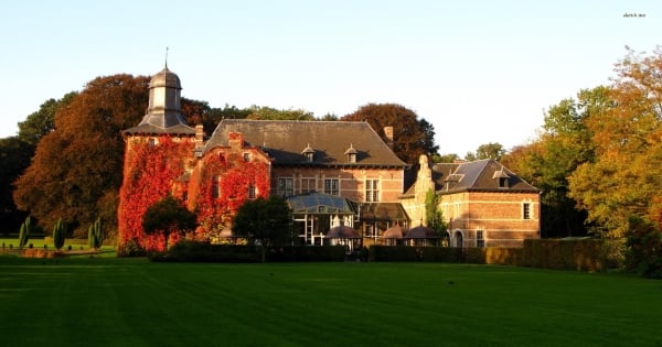 顏值根本不重要！獅子美女願意和「野獸」談戀愛的原因是......