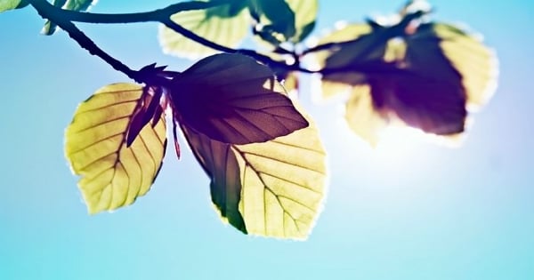 自以為自己好聰明的天蠍座，其實他們的「戀愛腦殘指數」超高！