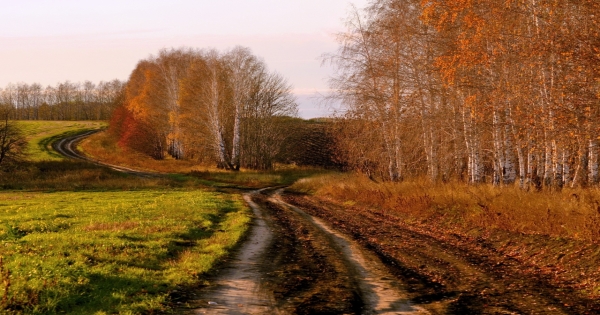 天秤渴望的愛情，正是青梅竹馬全心對自己好的心意