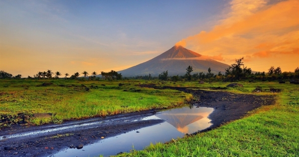 不誇張！天秤的身體都是被什麼掏空的!