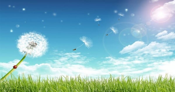 「這件事」根本是魔羯的死穴！注定沒救了！