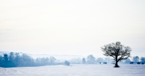 想分手總是有很多藉口來掩飾自己不愛了！天秤提分手時竟然會說這些話!