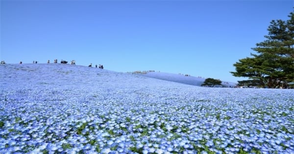 一試成主顧！因為性而日久生情的星座配對