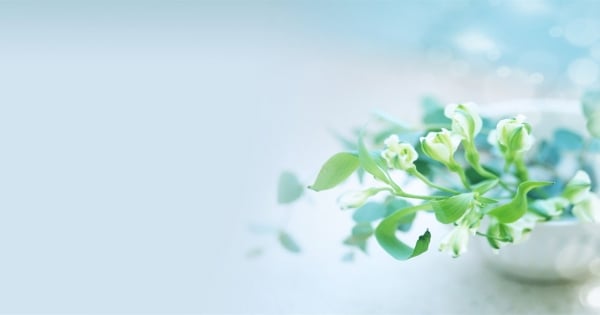 值得投資的資優潛力股！找老公就是要找這幾個星座！