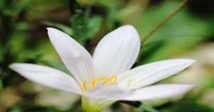你總是吃醋吃不完!雙魚女的「小心眼指數」有多少呢!