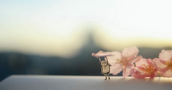 對射手女來說最適合展開攻勢的招數！十秒搞定異性的絕招大公開！