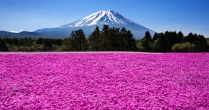 魔羯座感覺自己變成熟的瞬間!人生，就是不停的戰鬥！