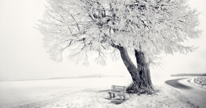 互相勒索的戀愛關係!雙子不要勉強自己跟他在一起!
