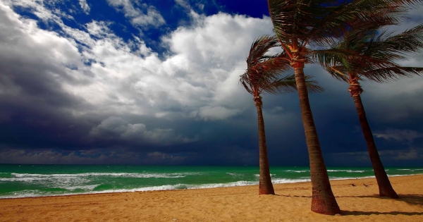 網路戀愛比起現實世界，多了一份想像與浪漫，雙魚座是適合網戀的人!