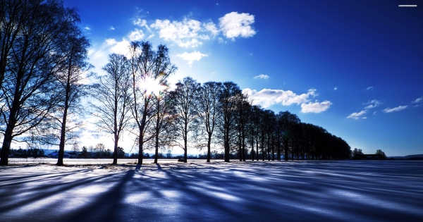 其實獅子座是對自己很有要求的人，因為他不喜歡輸的感覺！