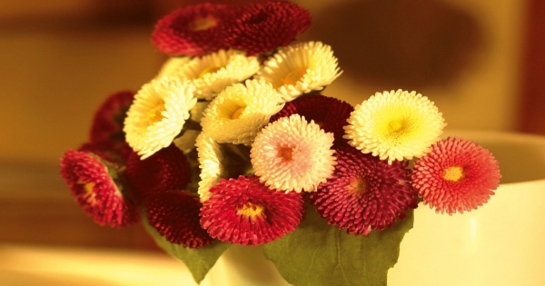 關於賺錢這件事，魔羯座會很認真！沒有人能阻擋他堅定的信念！