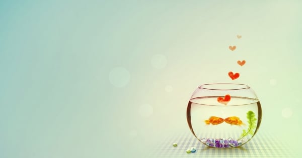 巨蟹座周運1.22—1.28：屬於自己的權利一定要自己去維護才行，不要隨便被欺負。
