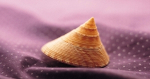 金牛座為何不帶另一半去見朋友!其實是因為自己的某些因素....