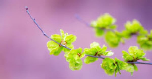 誰說女人就要依賴！水瓶女最美的時候，就是他獨立自信的樣子！