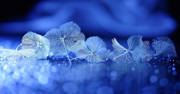 看到心儀對象最邋遢的模樣，天秤座能夠接受!