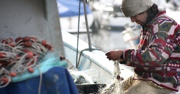 其實金牛座是很重感情的人，在他的心中一直都保有一處最柔軟的地方
