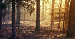 處女座的情感絕對不只是瞬間衝動而已, 而是長時間累積的深深情感