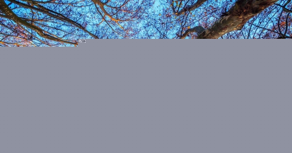 是我還不夠好！勇於承認自己不足的星座，要足夠的虛心其實也很需要勇氣！