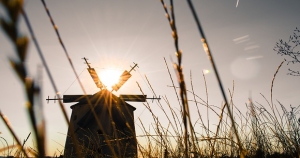 獅子啊！獅子，你何必把自己搞得一副很堅強啊